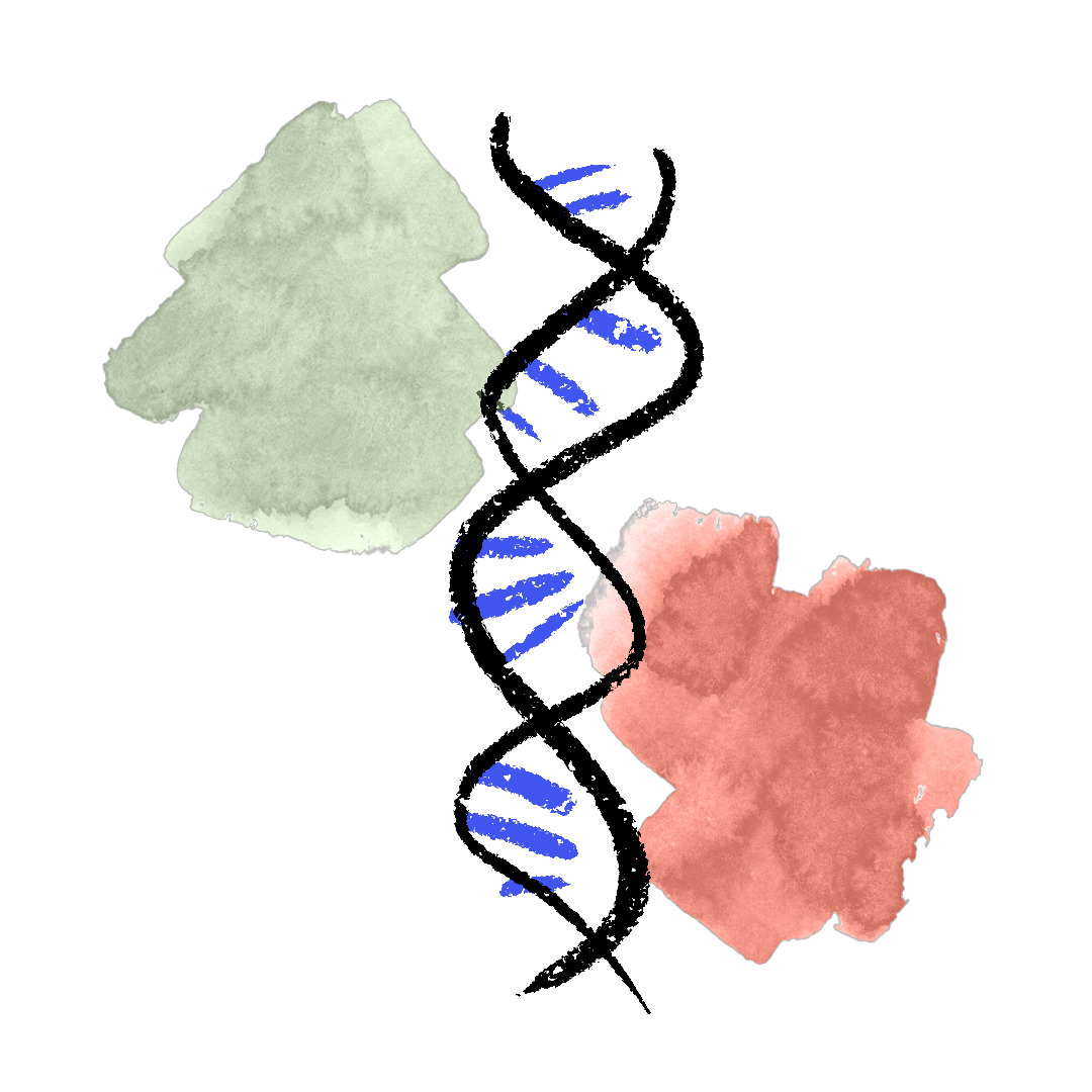 Icona Italian DNA