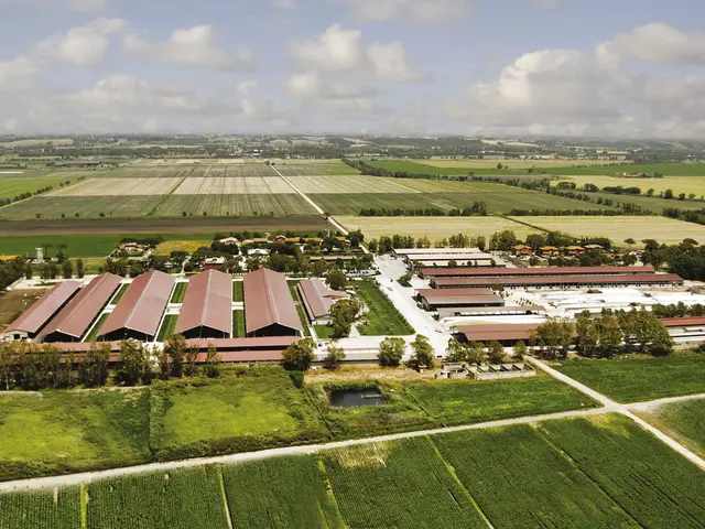 Vista aerea