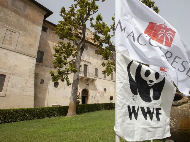 WWF