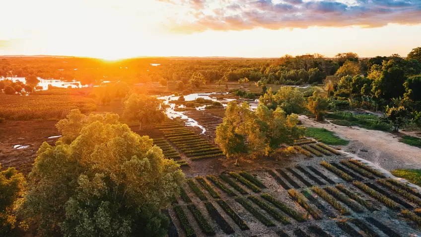 Come le soluzioni basate sulla natura possono creare valore economico e sociale, proteggendo al contempo l’ambiente e sostenendo le comunità locali.
